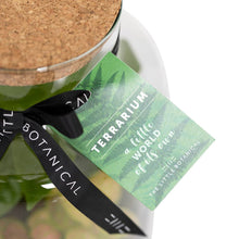 Load image into Gallery viewer, Medium Glass Terrarium – Pre-Planted & Easy Care