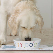 Load image into Gallery viewer, Beach Dog Bowl