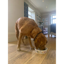Load image into Gallery viewer, Beach Dog Bowl