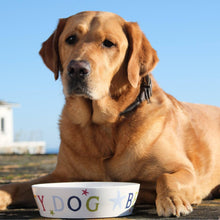 Load image into Gallery viewer, Beach Dog Bowl