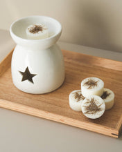 Load image into Gallery viewer, SEA SALT Botanical Soy Wax Melts