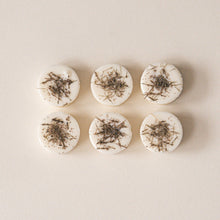 Load image into Gallery viewer, SEA SALT Botanical Soy Wax Melts
