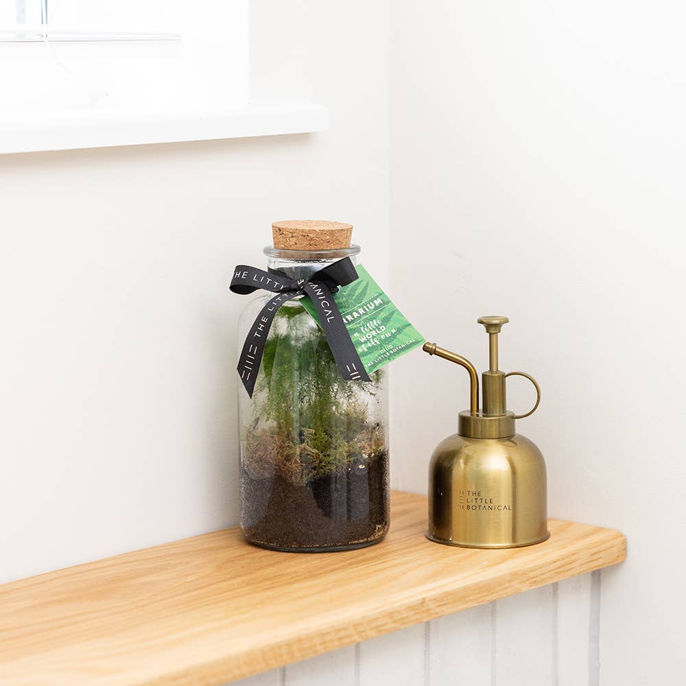 Small Glass Terrarium – Pre-Planted & Easy Care