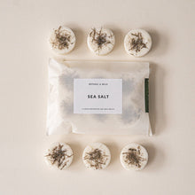 Load image into Gallery viewer, SEA SALT Botanical Soy Wax Melts
