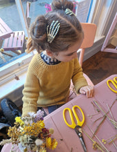 Load image into Gallery viewer, Dried Flower Pumpkin Craft Mon 27th Oct 2pm
