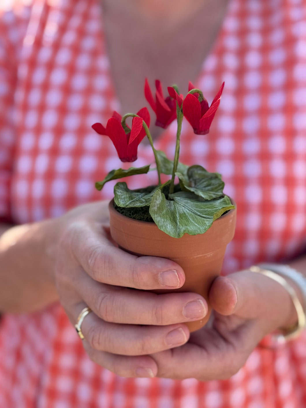 Floragami Potted Cyclamen Workshop